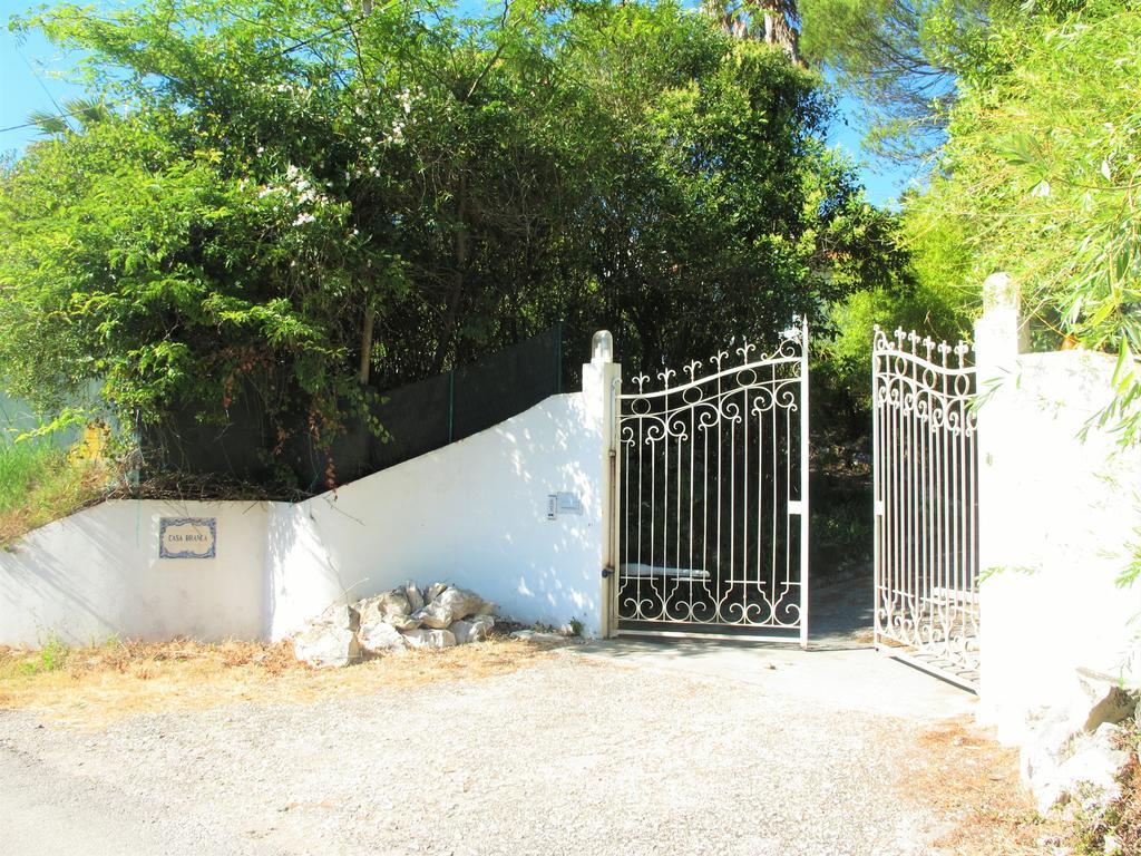 פוז דו ארליו Casa Branca Guest House מראה חיצוני תמונה