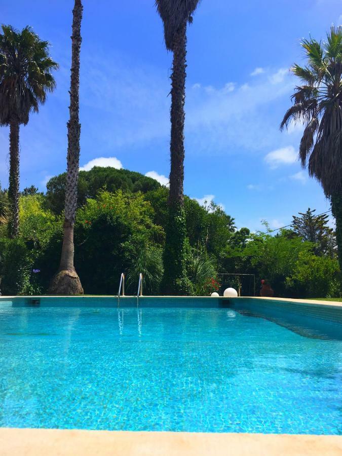 פוז דו ארליו Casa Branca Guest House מראה חיצוני תמונה