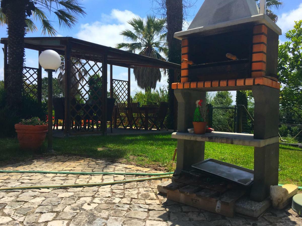 פוז דו ארליו Casa Branca Guest House מראה חיצוני תמונה
