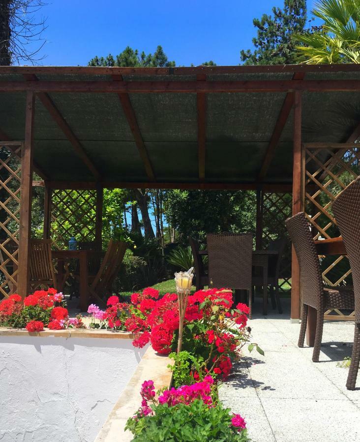 פוז דו ארליו Casa Branca Guest House מראה חיצוני תמונה